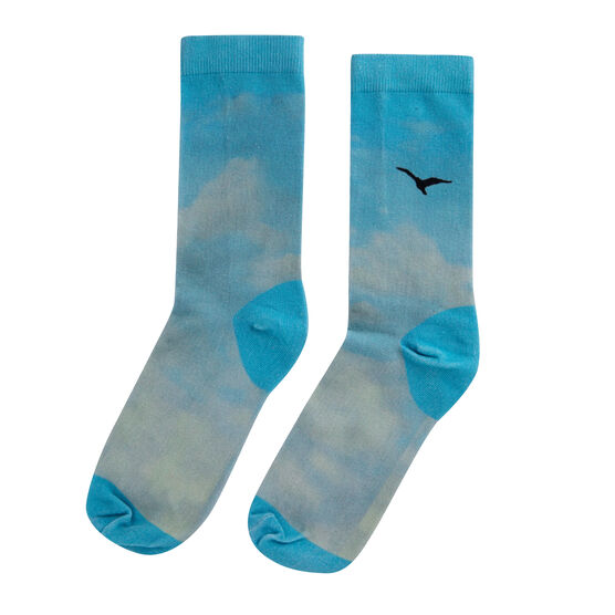 John Constable cloud socks